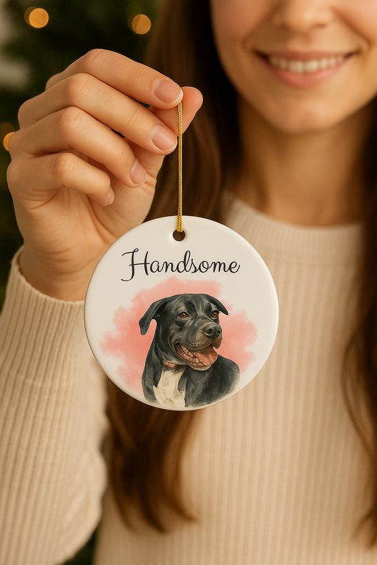 Person holding a decorative ornament with a dog's face and 'Handsome' text against a blurred background.