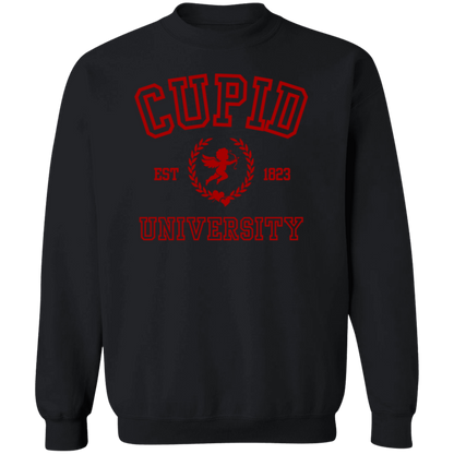 Cupid University Unisex T-Shirt/Sweatshirt/Hoodie, Valentine's Day